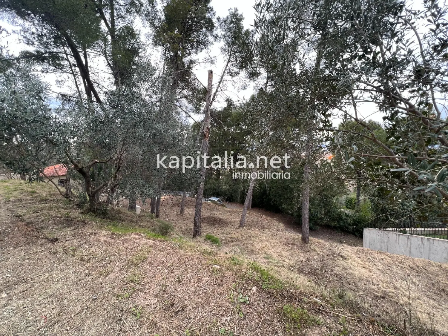  till salu hus Agullent Vall D'albaida 5