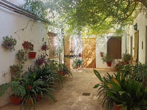Aielo De Malferit Vall D''albaida hus foto 6233313