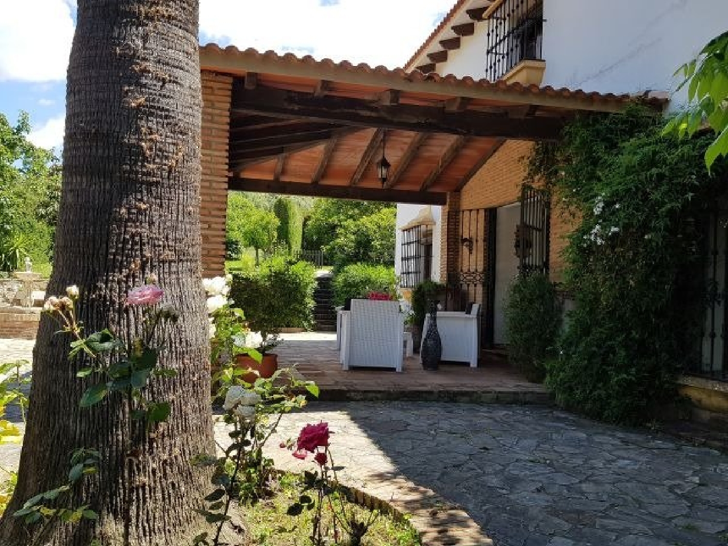  till salu hus Alcalá De Los Gazules Janda (La) 8