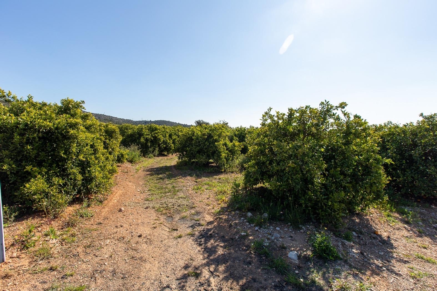  till salu hus Alcanar Montsià 6