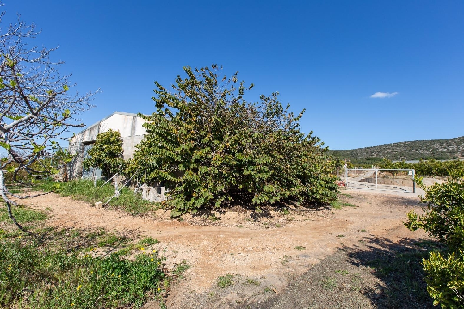  till salu hus Alcanar Montsià 8