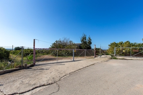 Alcanar Montsià hus foto 6219372