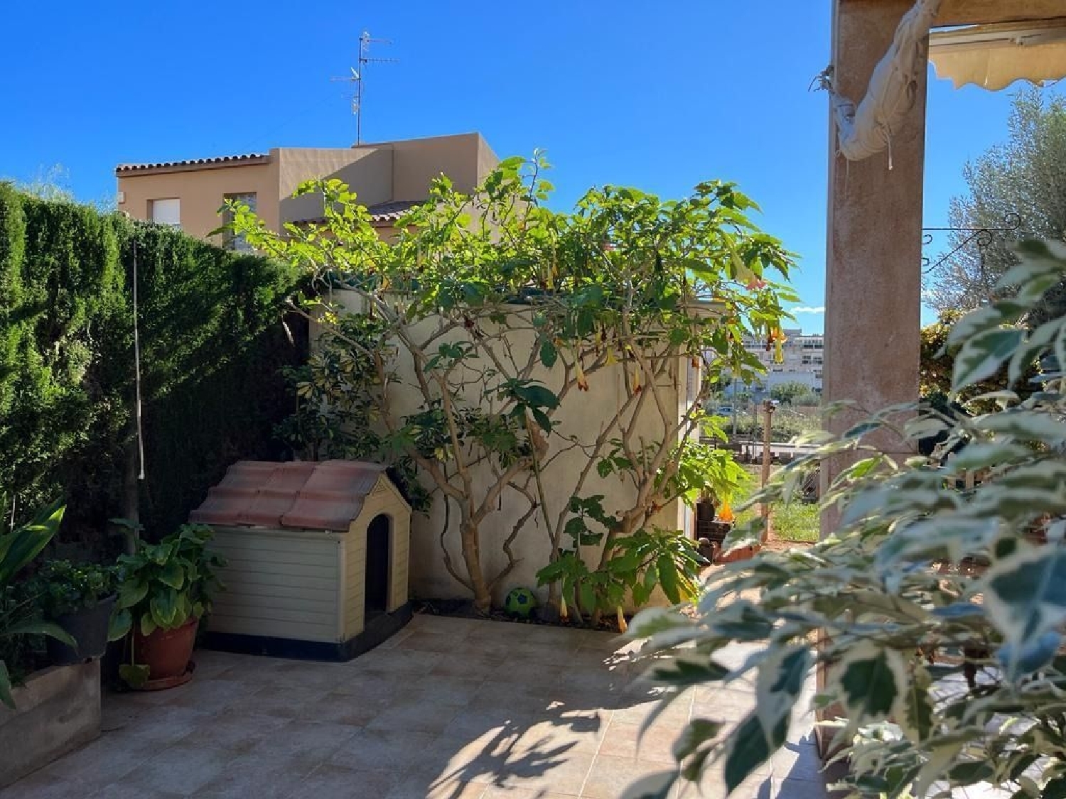  till salu hus Alcanar Montsià 6
