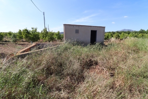 Alcanar-Platja Montsià hus foto 6219378