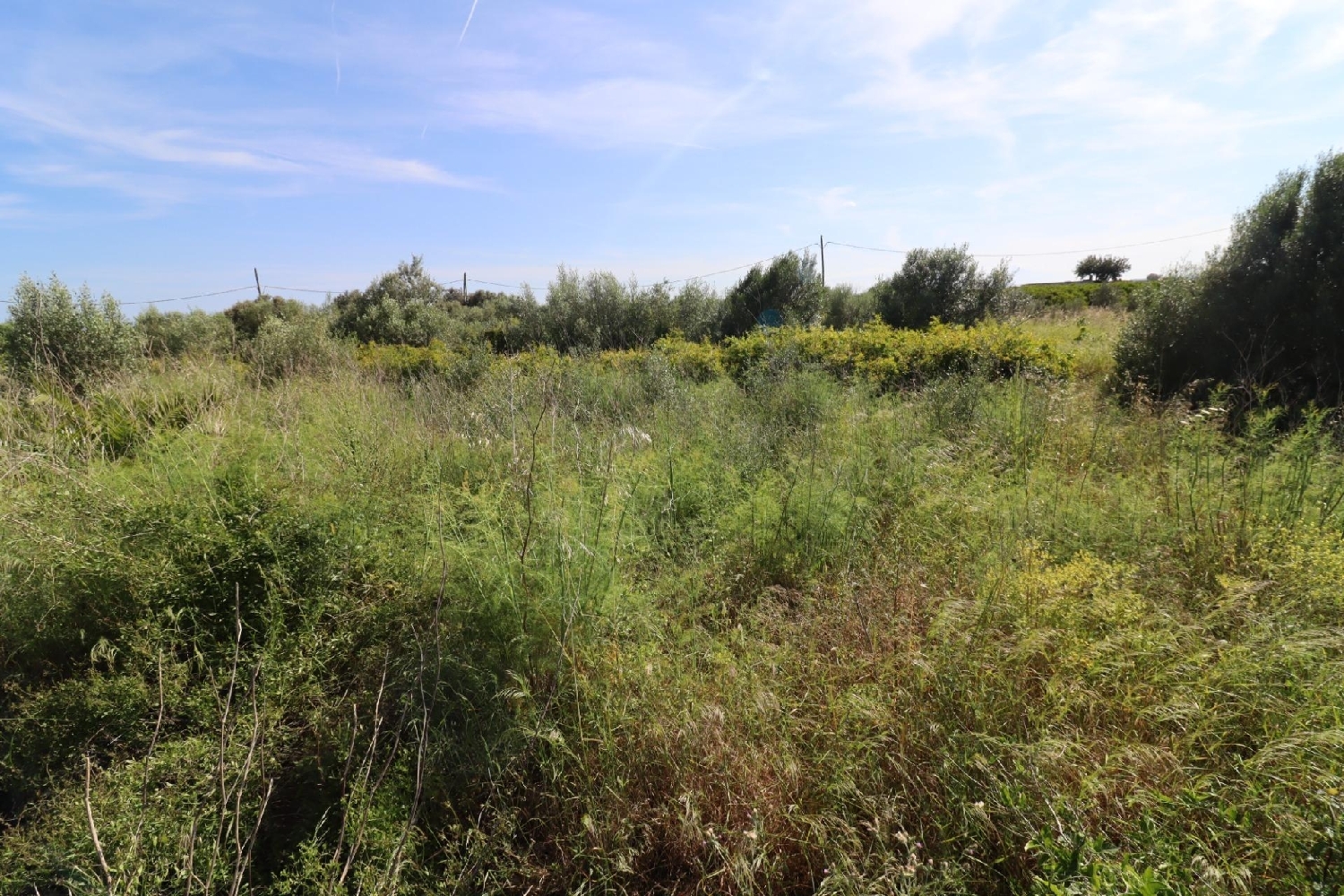  till salu hus Alcanar-Platja Montsià 6