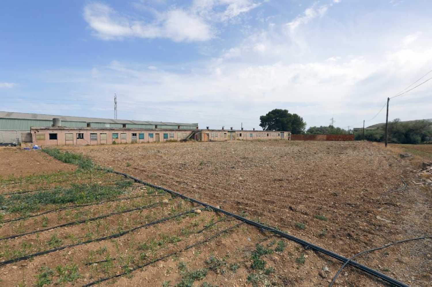  till salu hus Alcanar-Platja Montsià 8