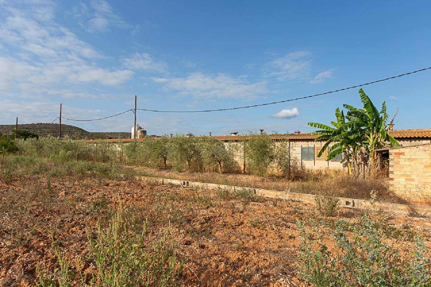  en venta casa Alcanar-Platja Montsià 5