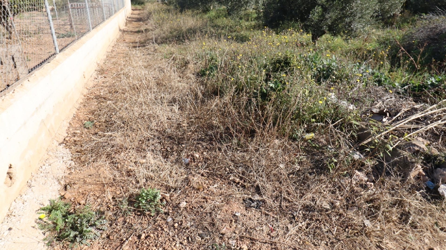  till salu hus Alcanar-Platja Montsià 6