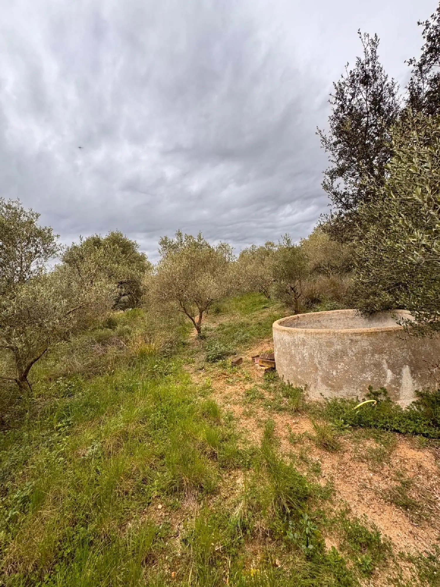  till salu hus Sant Antoni Baix Camp 1