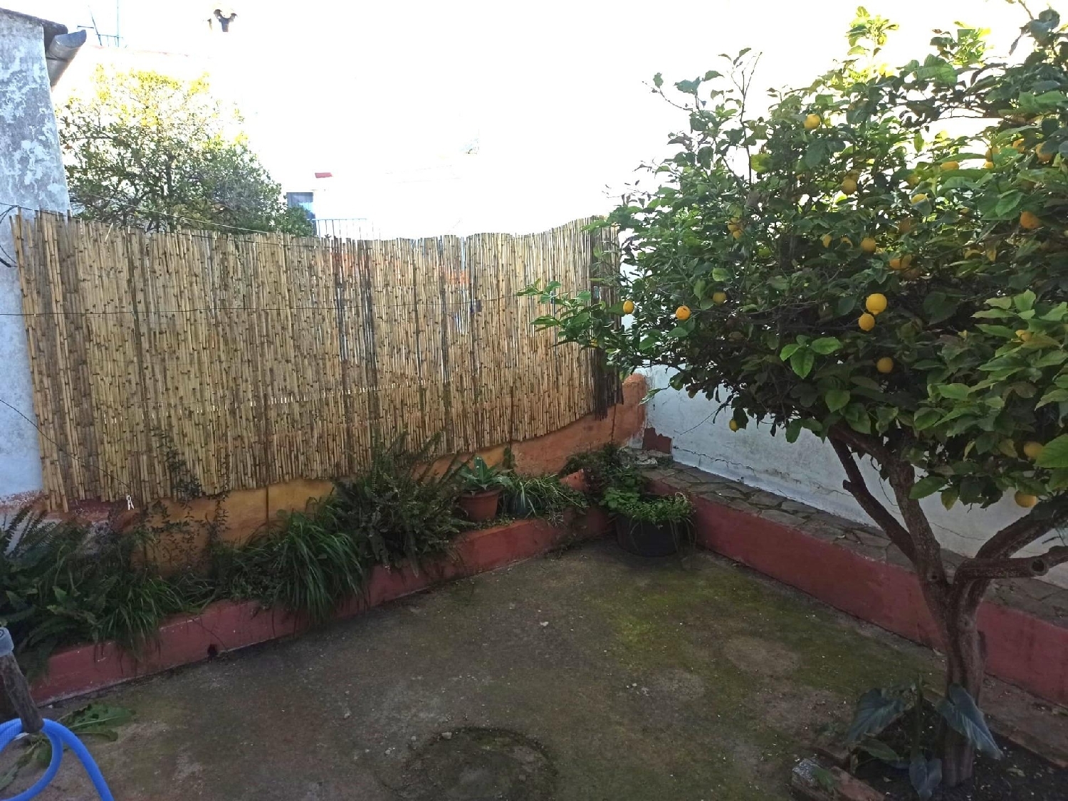  till salu hus Algar Sierra De Cádiz 7