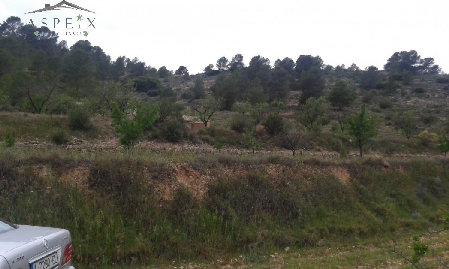  till salu hus La Romana Vinalopó Mitjà 4