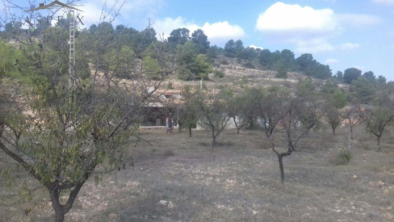  till salu hus La Romana Vinalopó Mitjà 5