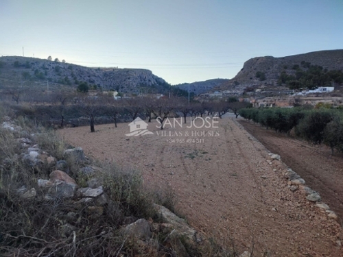 Algayat Vinalopó Mitjà hus foto 6227174
