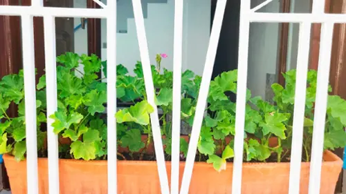 Agua Salada Noroeste hus foto 6208133
