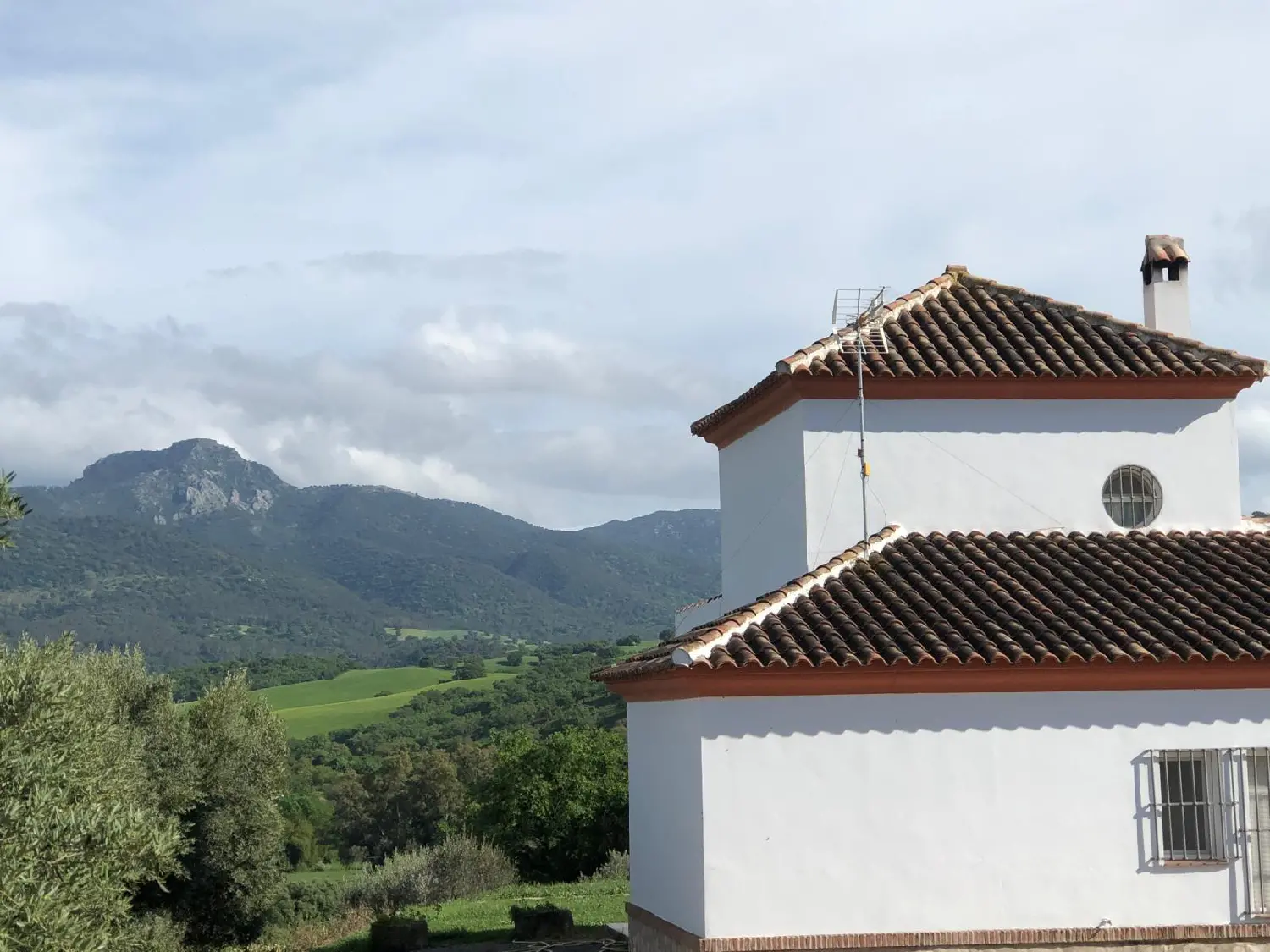  till salu hus Algodonales Sierra De Cádiz 7