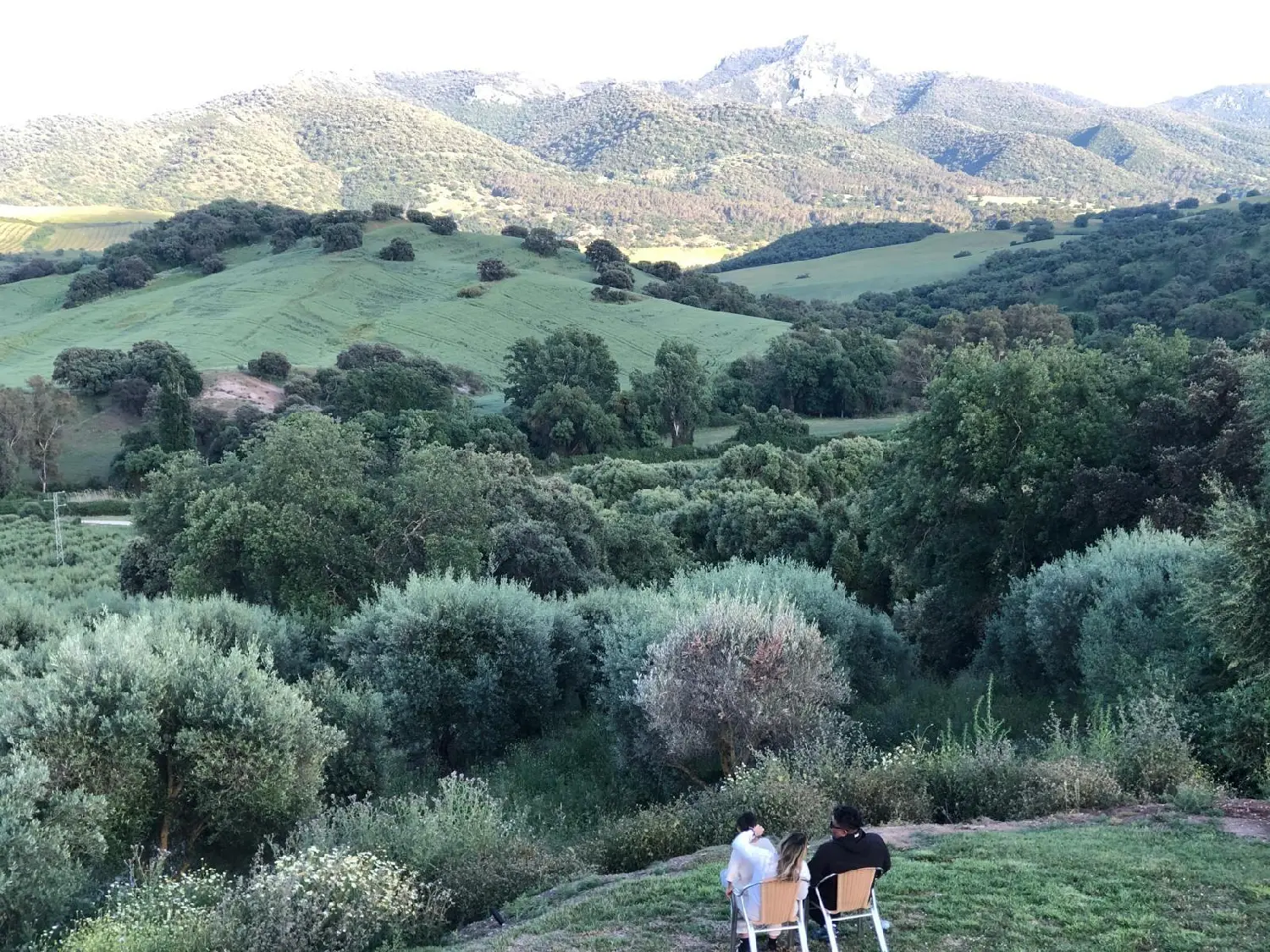  till salu hus Algodonales Sierra De Cádiz 4