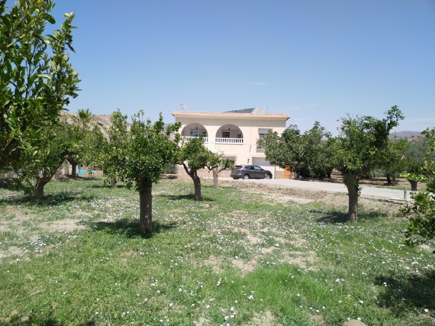  till salu hus Alhabia Alpujarra Almeriense 6