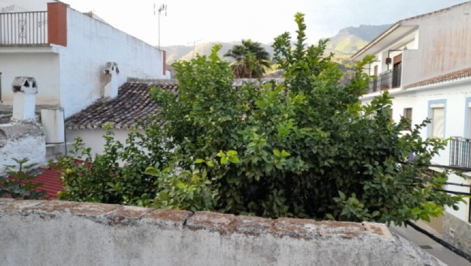 till salu hus Alozaina Sierra De Las Nieves 8