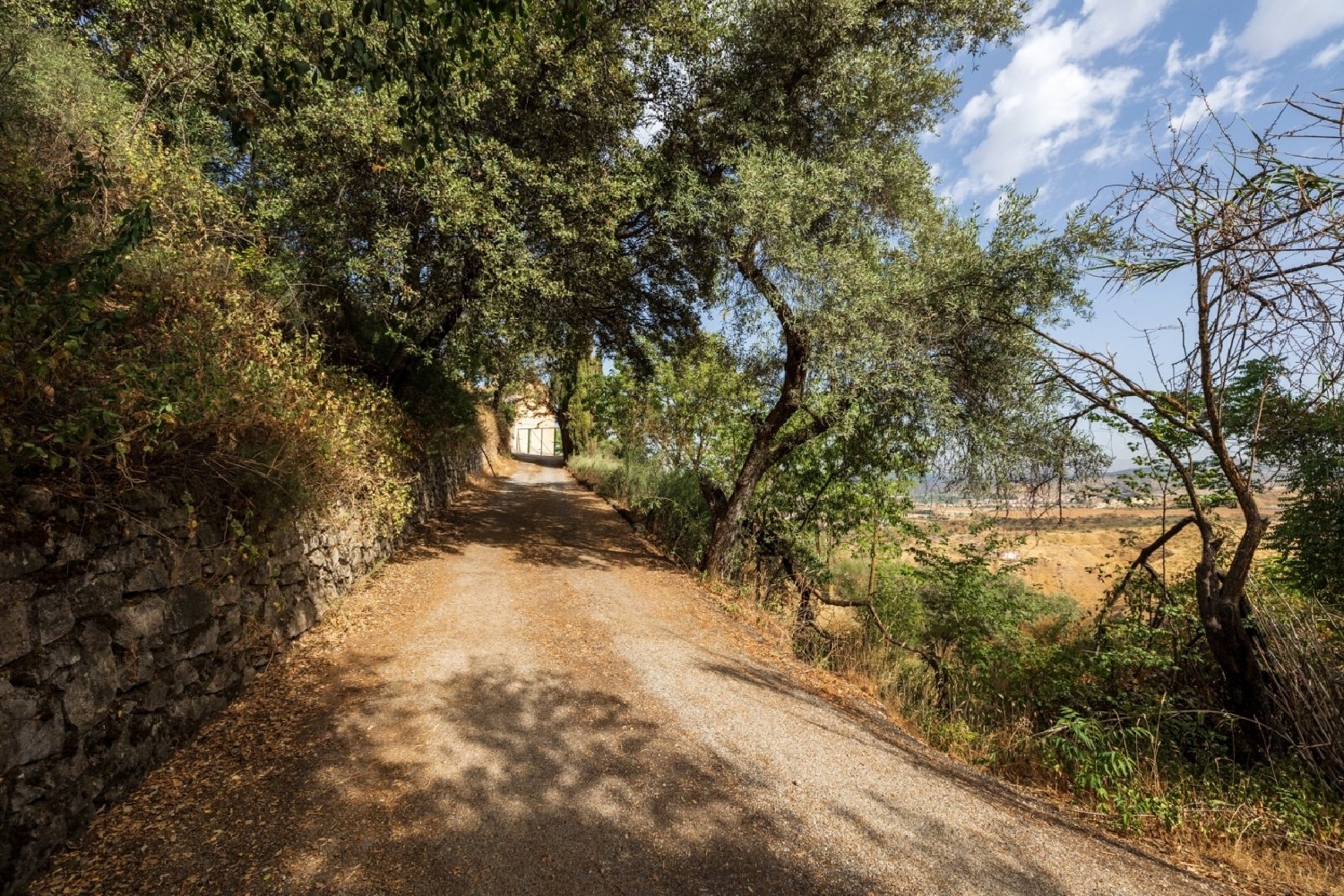  till salu hus Alquería Del Fargue Vega De Granada 5