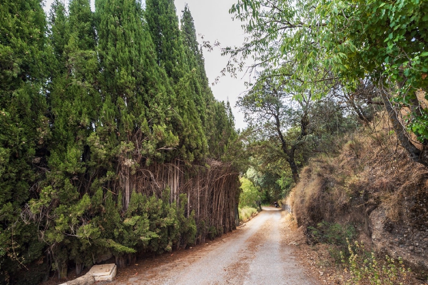  till salu hus Alquería Del Fargue Vega De Granada 4