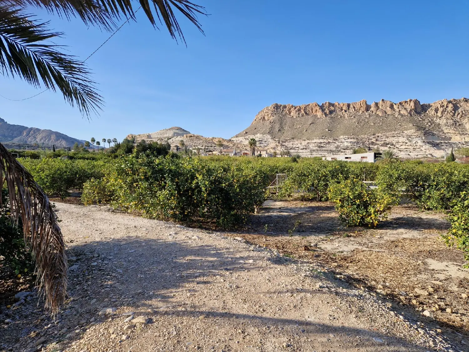  till salu hus Alquerías Huerta De Murcia 7