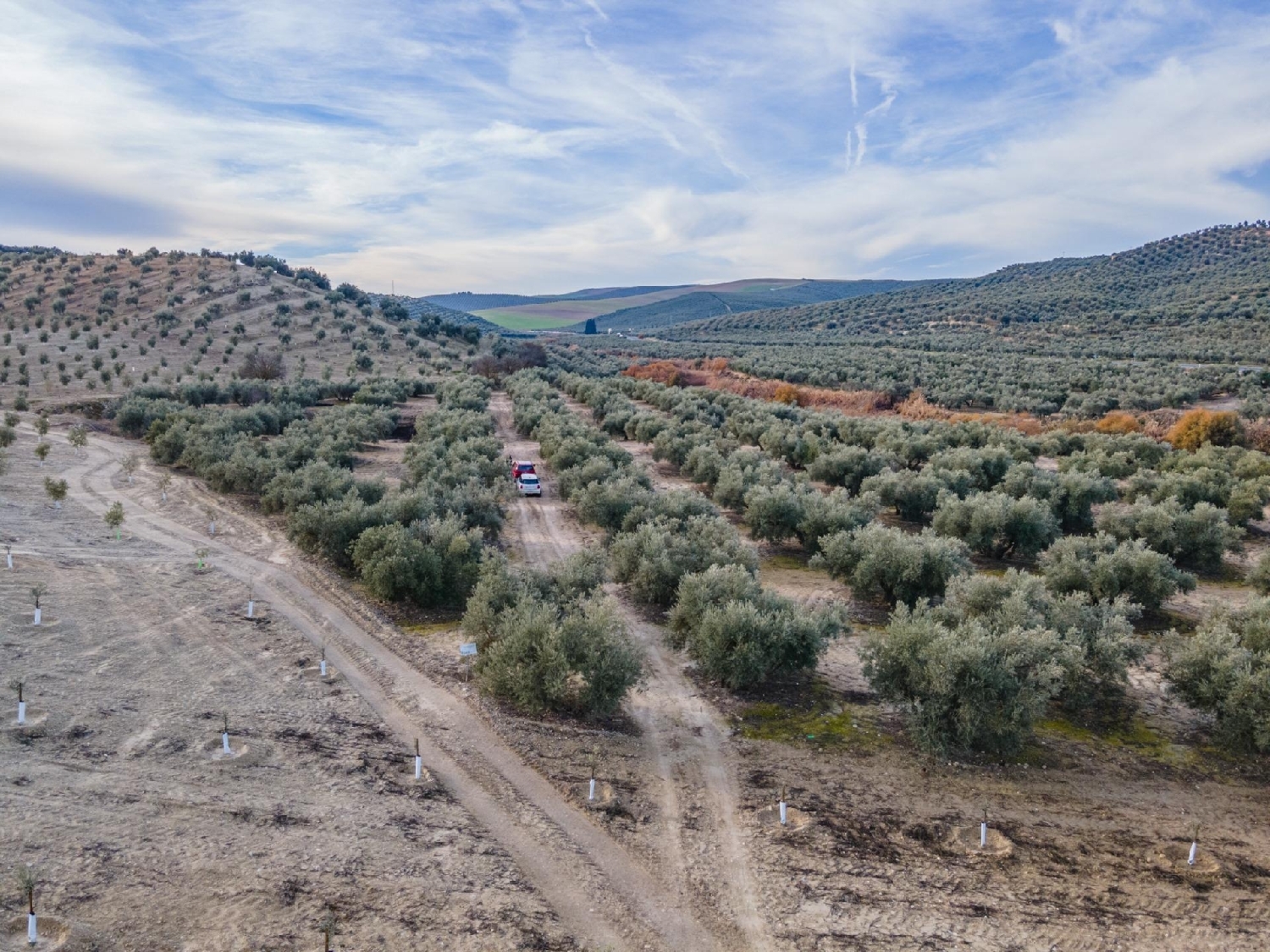  till salu hus Purchil Vega De Granada 6