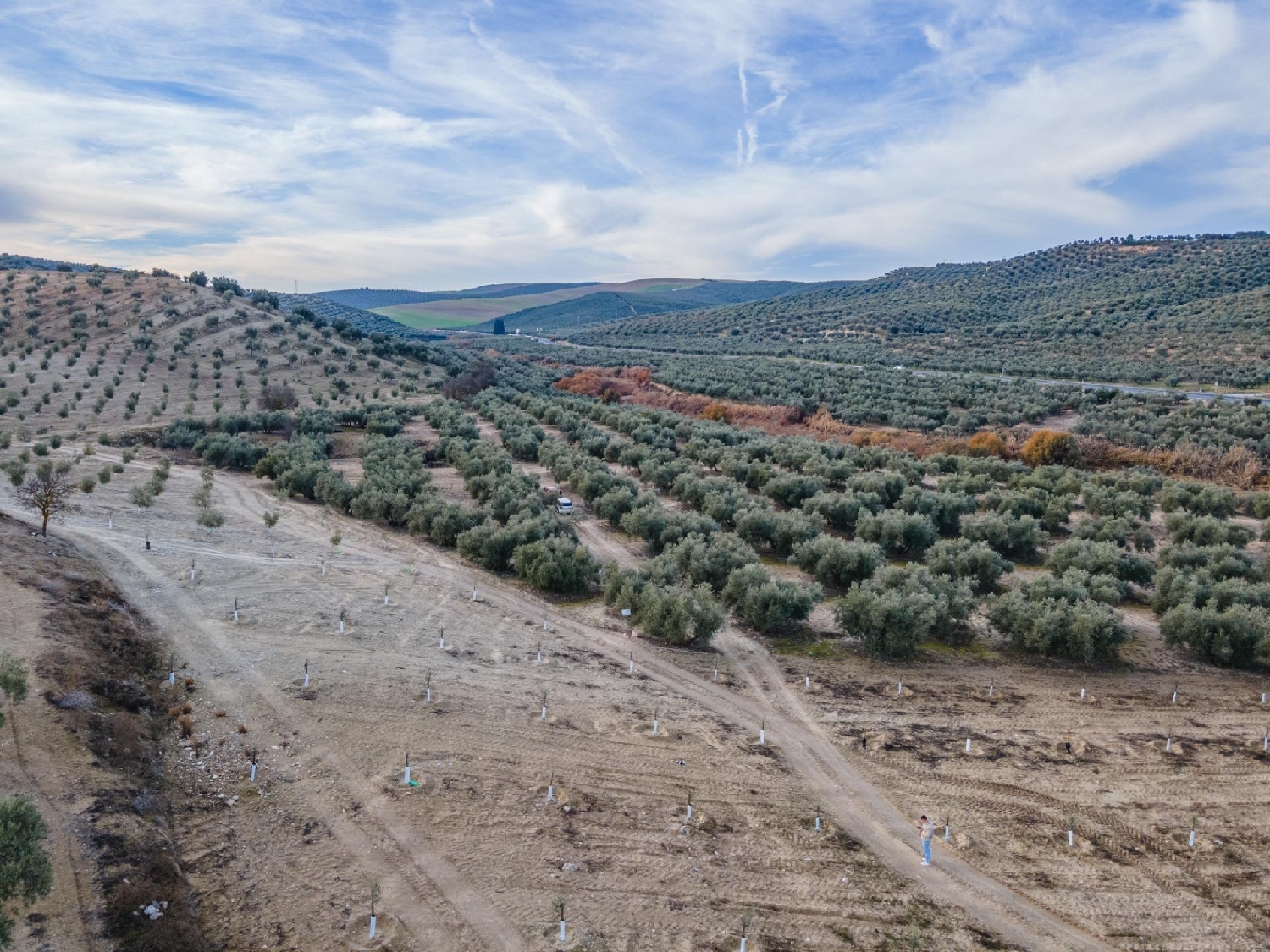  till salu hus Purchil Vega De Granada 5
