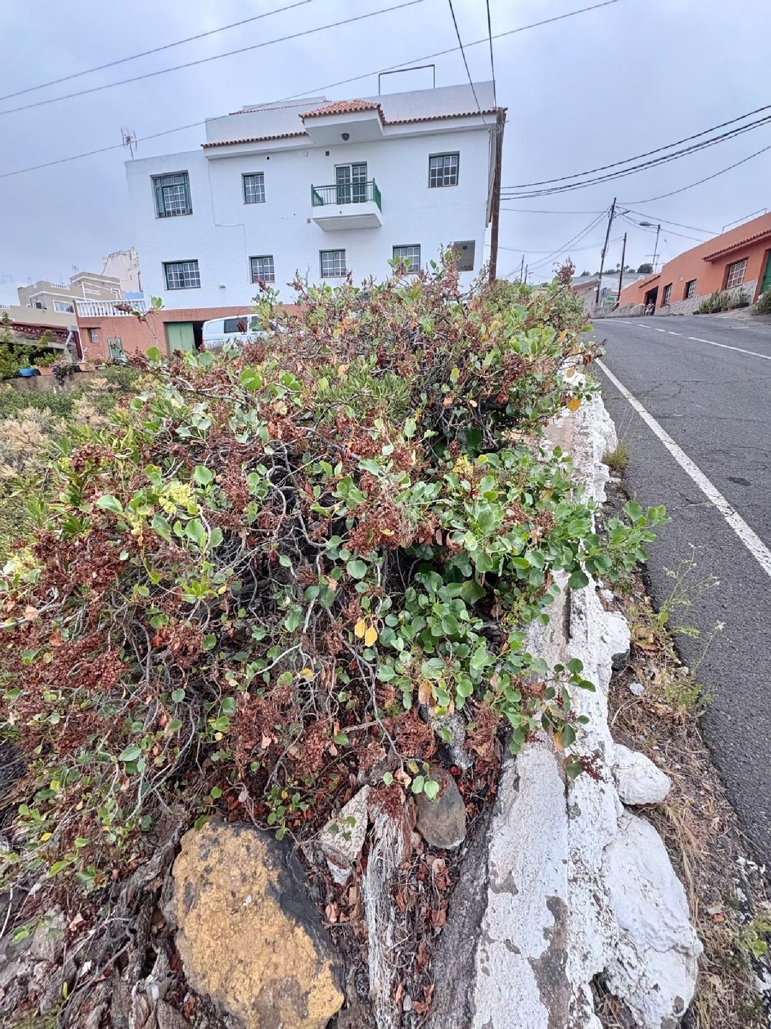  till salu hus Araya Zona Sureste 4
