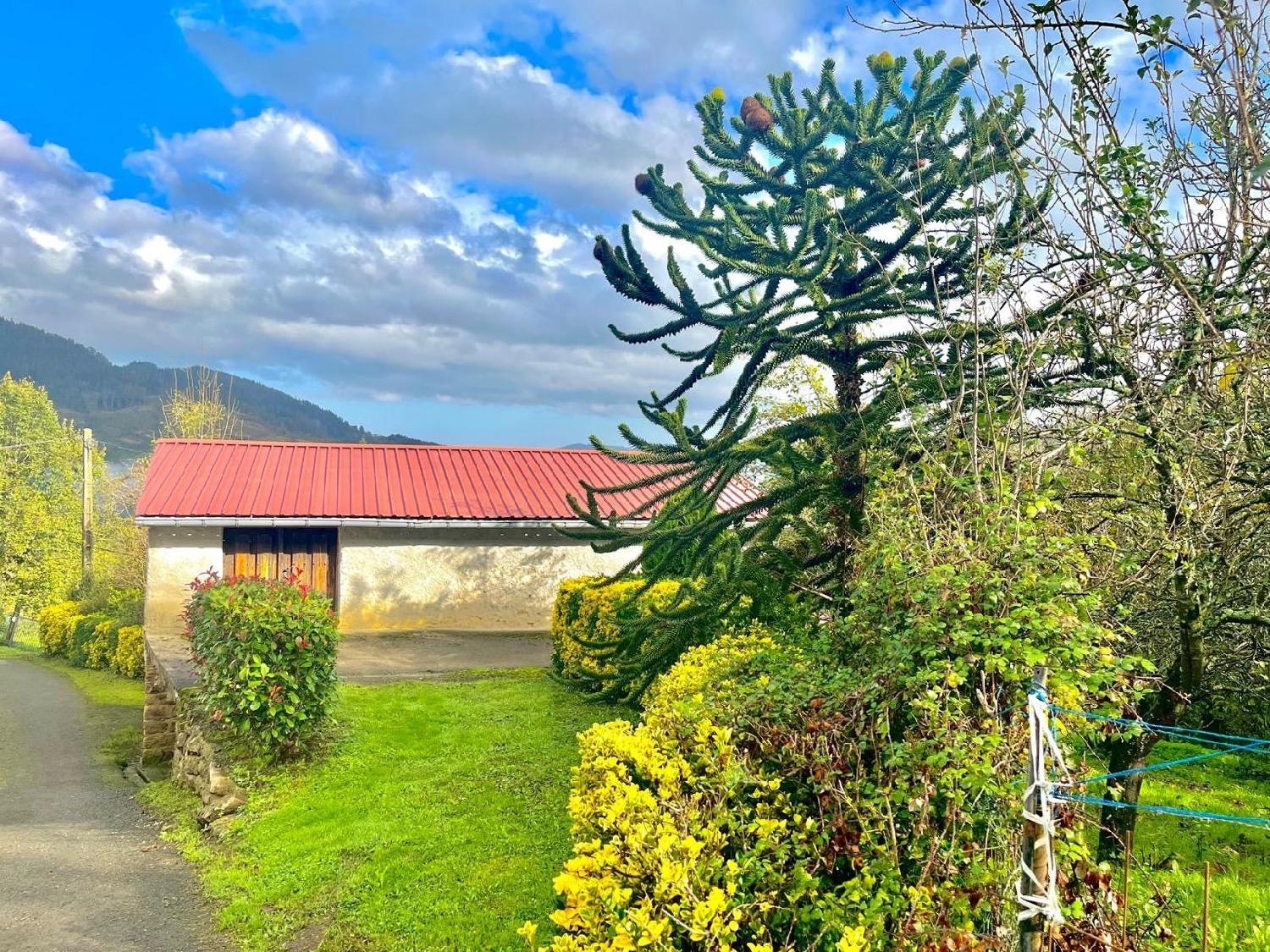  till salu hus Arrietas Goierri 5