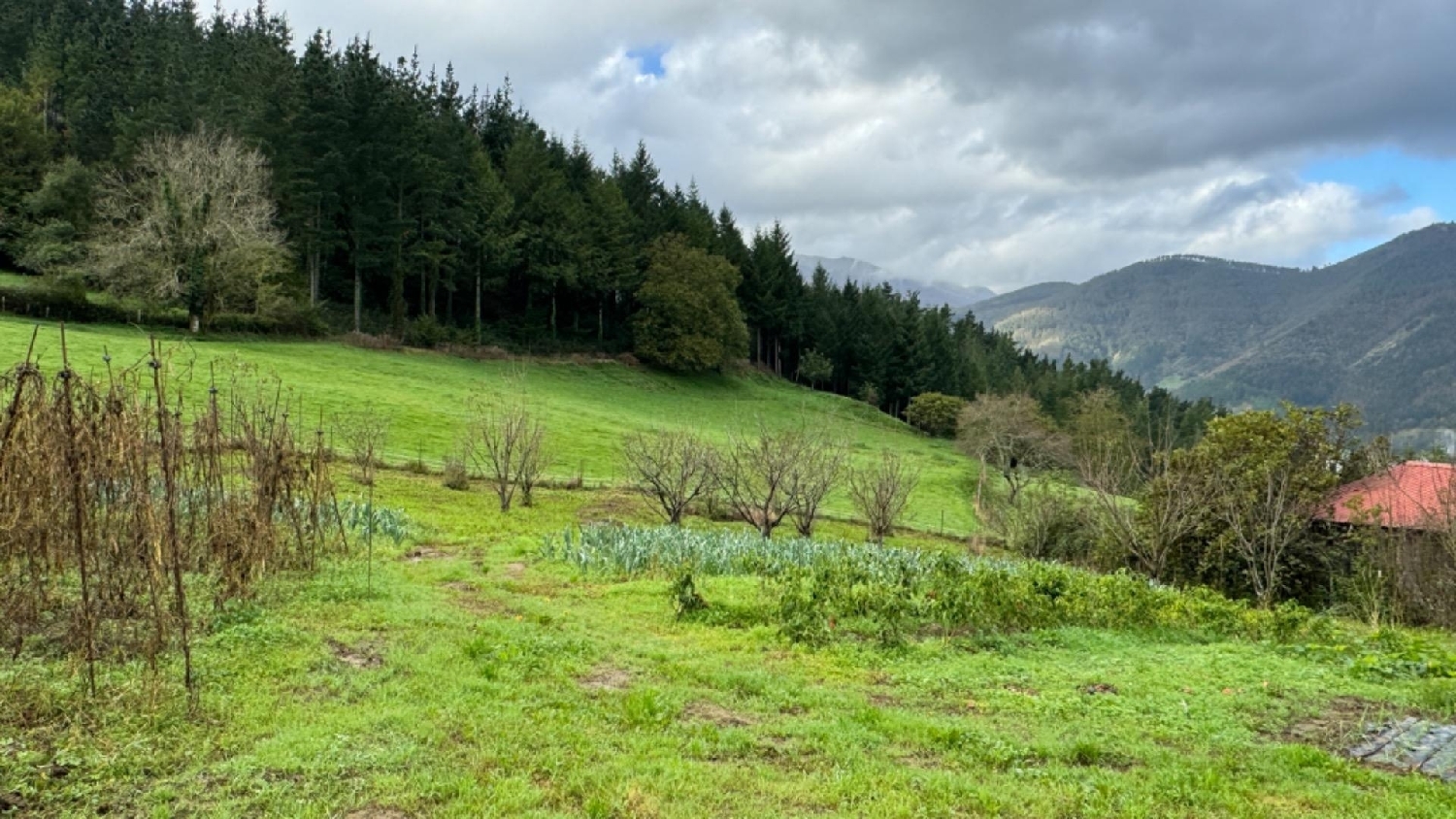  till salu hus Arrietas Goierri 4