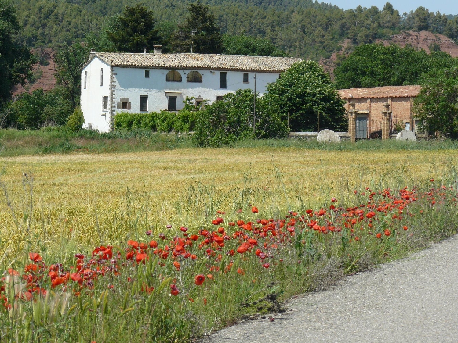 till salu hus Artes Bages 2