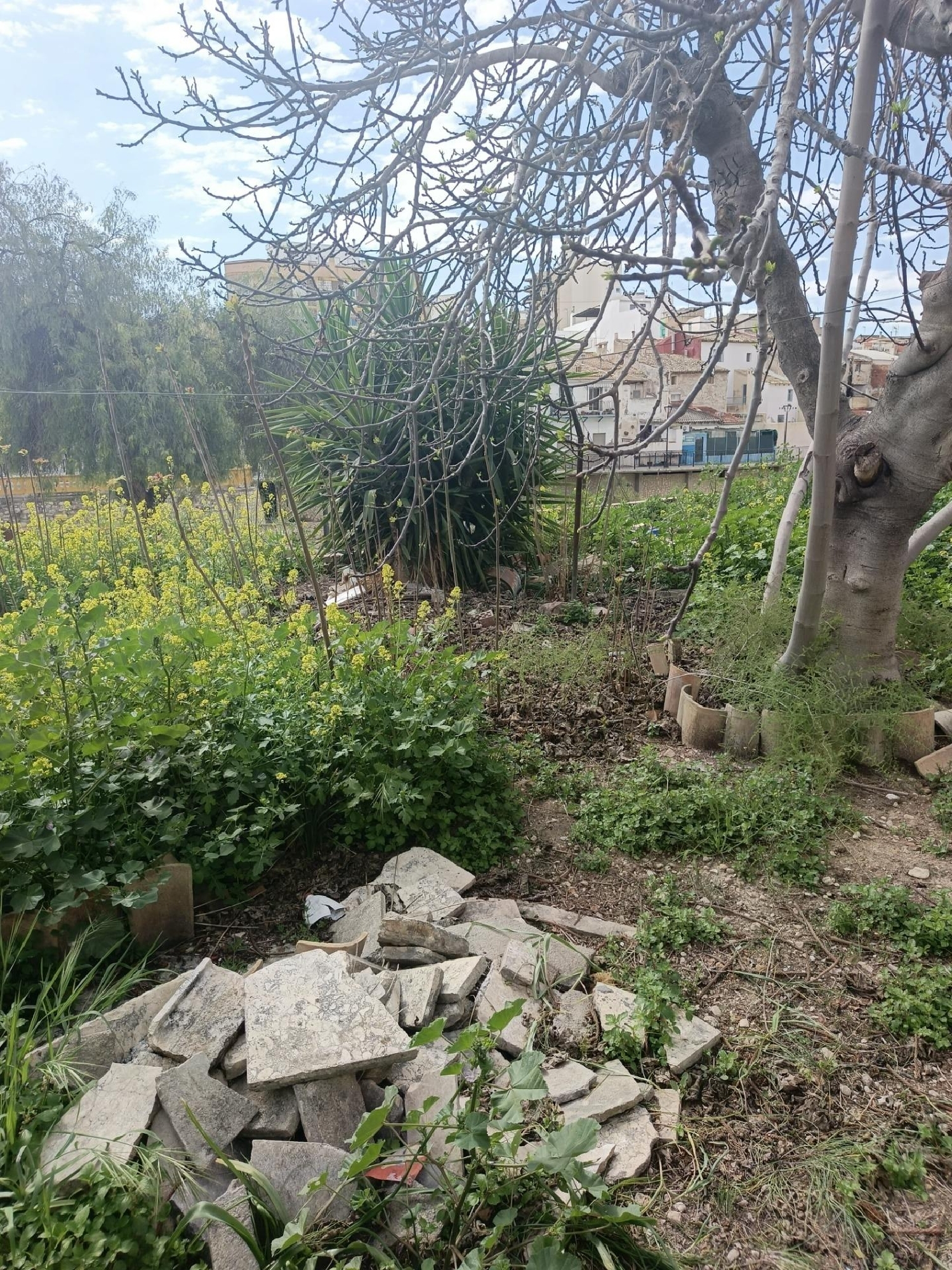  till salu hus Aspe Vinalopó Mitjà 7