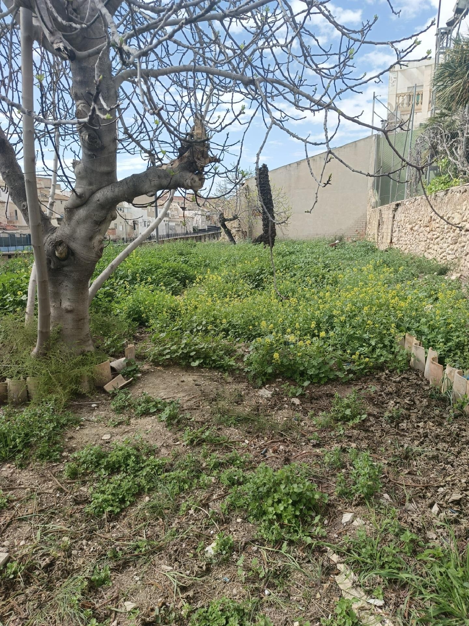  till salu hus Aspe Vinalopó Mitjà 1