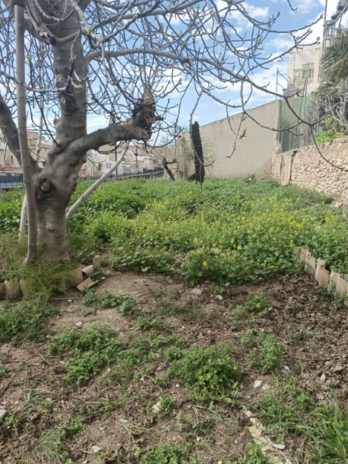 Aspe Vinalopó Mitjà hus foto 6223770