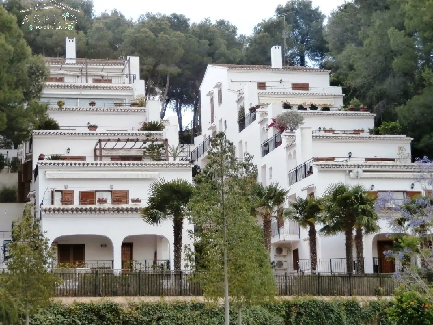 till salu hus Aspe Vinalopó Mitjà 2