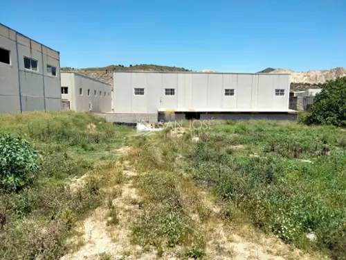 Aspe Vinalopó Mitjà hus foto 6191581