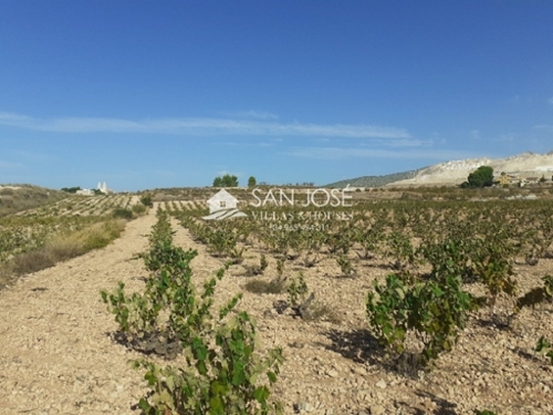 Aspe Vinalopó Mitjà hus foto 6227159
