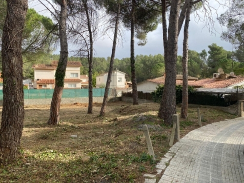 Avencó Vallès Oriental hus foto 6226867