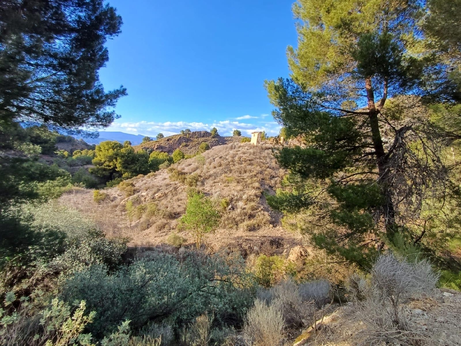  till salu hus Baldazos Alto Guadalentín 3