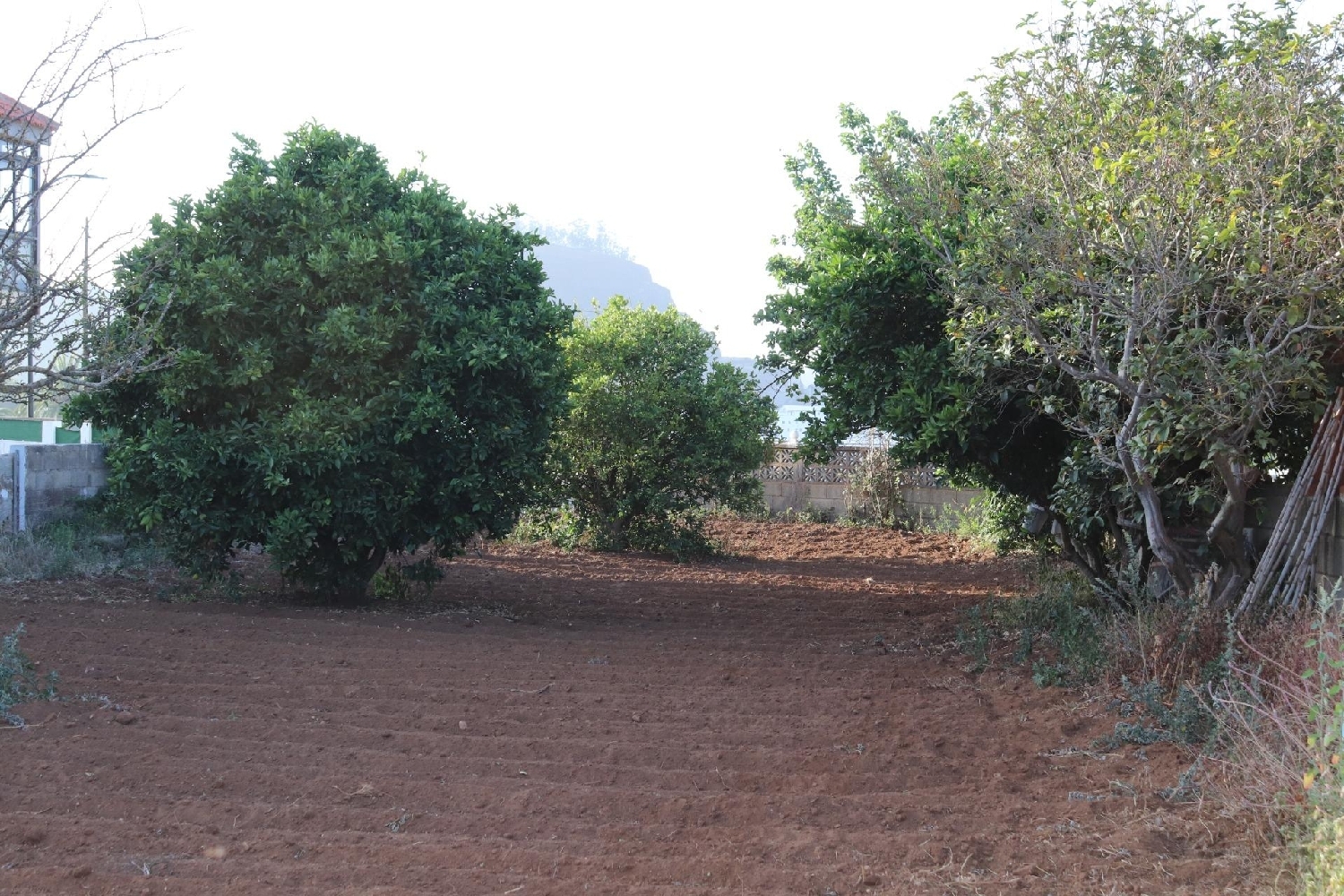 kaufen Haus Agua Garcia Zona Norte 3