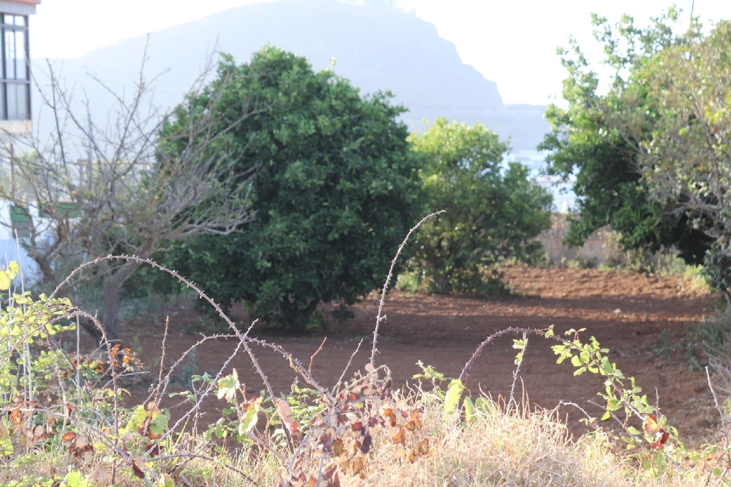  kaufen Haus Agua Garcia Zona Norte 1