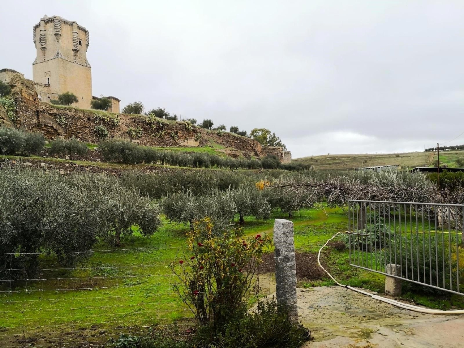  till salu hus Belalcazar Pedroches (Los) 6
