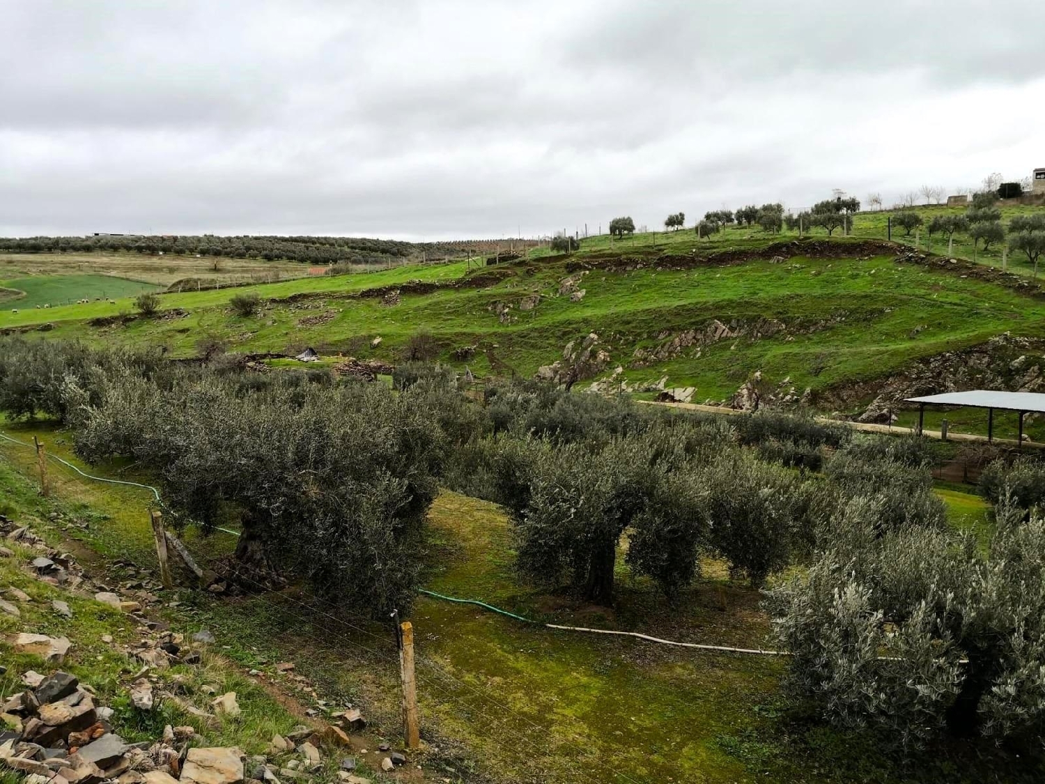  till salu hus Belalcazar Pedroches (Los) 7