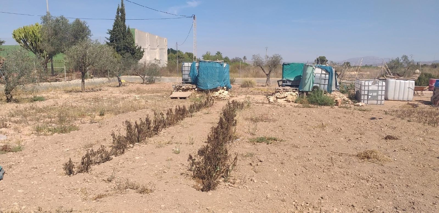 till salu hus Buenos Aires Baix Vinalopó 2