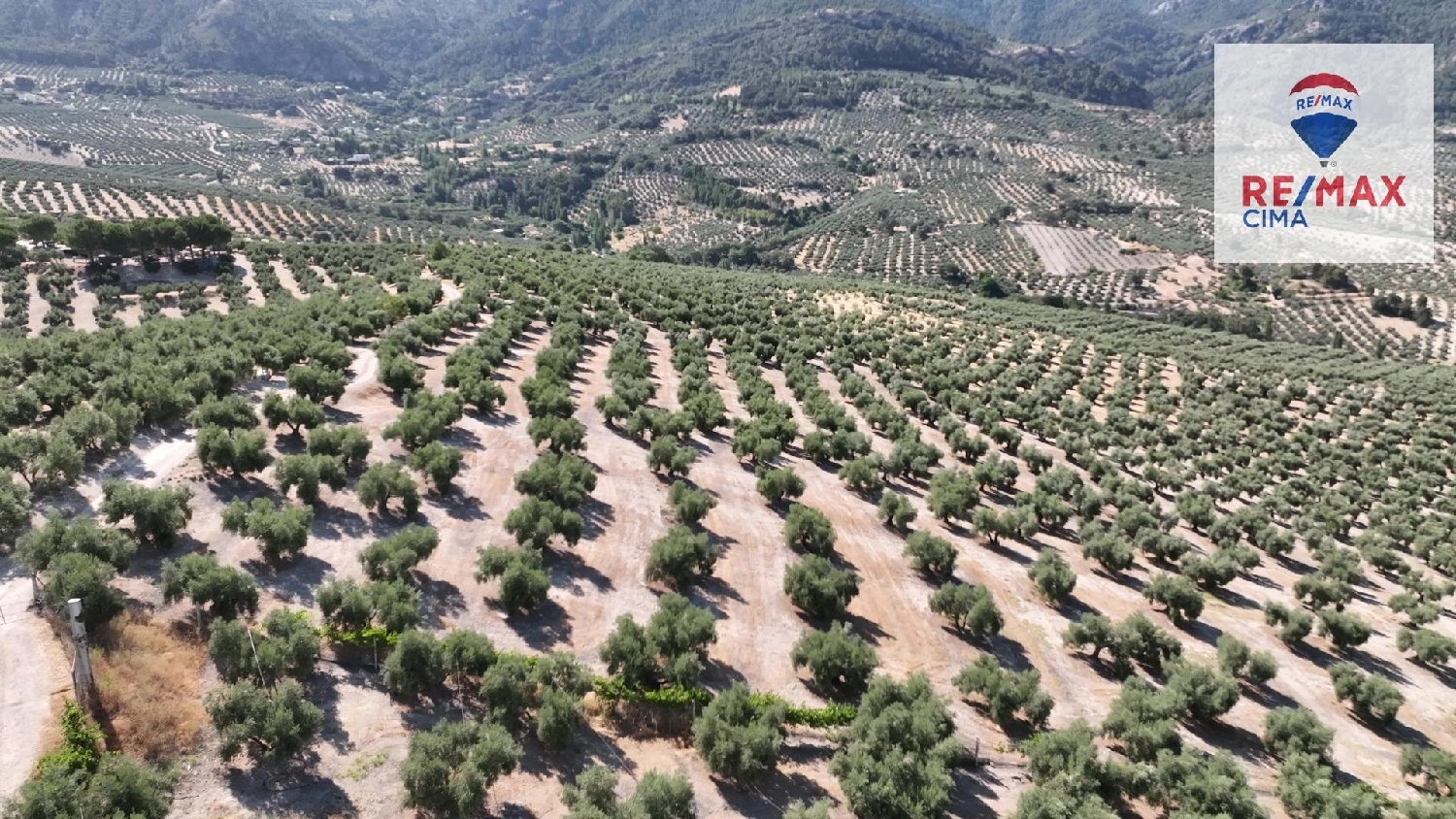  till salu hus Burunchel Sierra De Cazorla 6