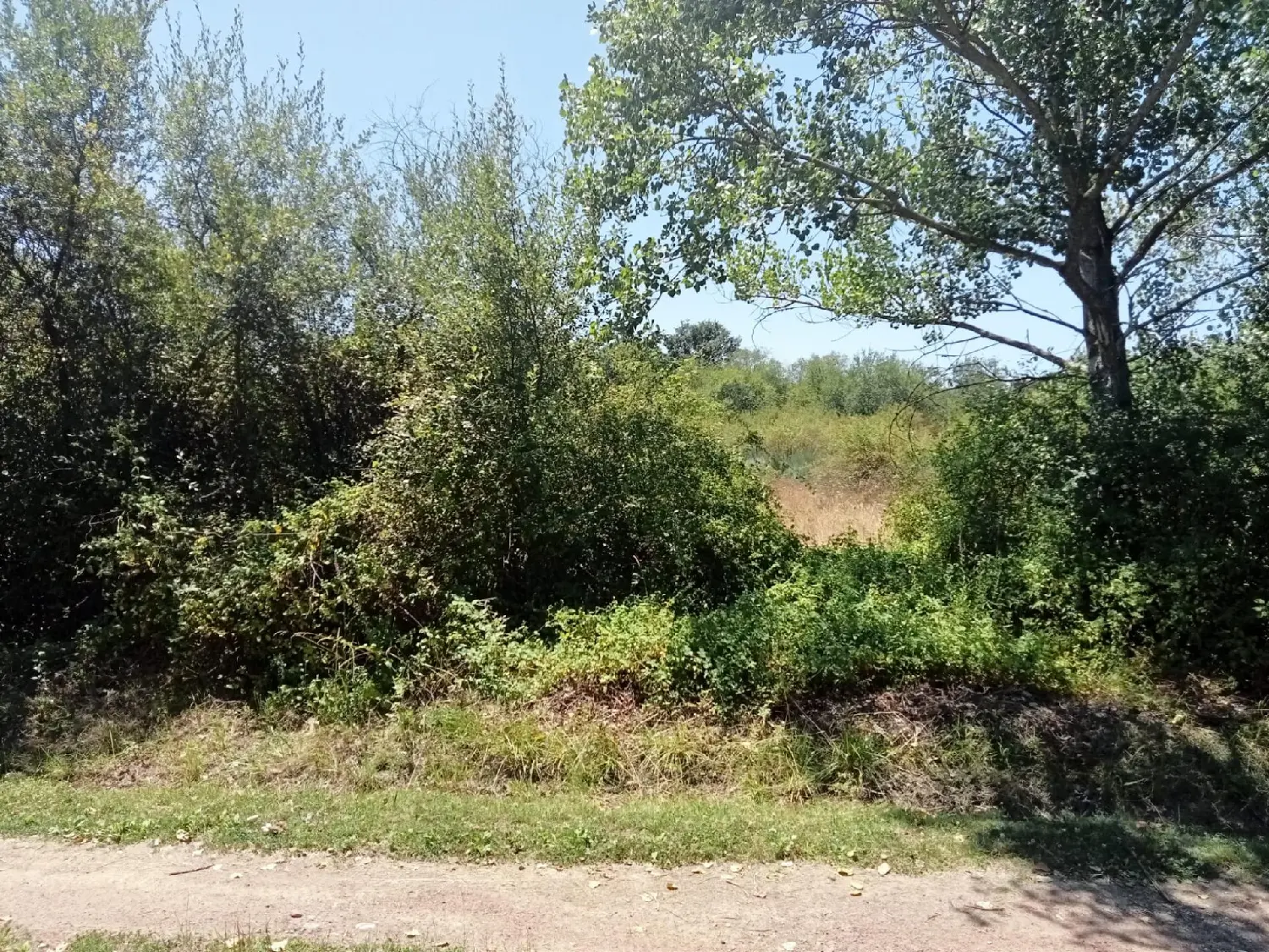 till salu hus Cabañas Raras Bierzo (El) 3