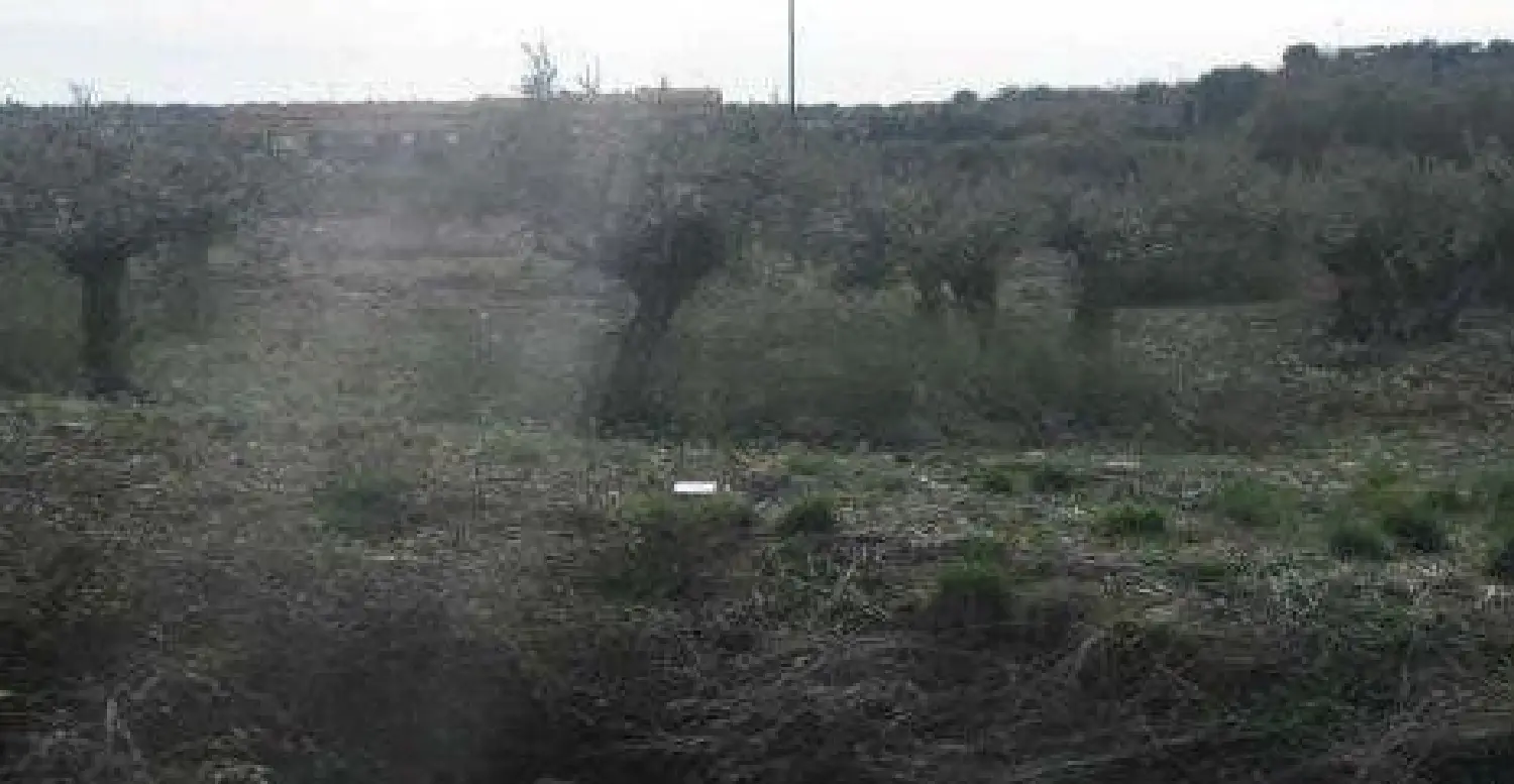  till salu hus Cabanillas Tudela 1