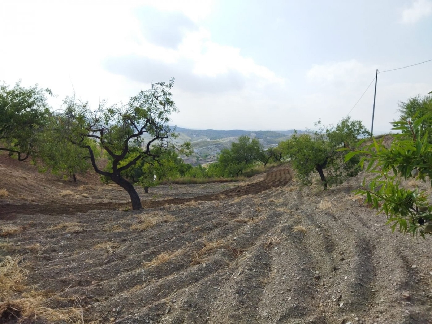  till salu hus Cabezo De La Jara Alto Guadalentín 6
