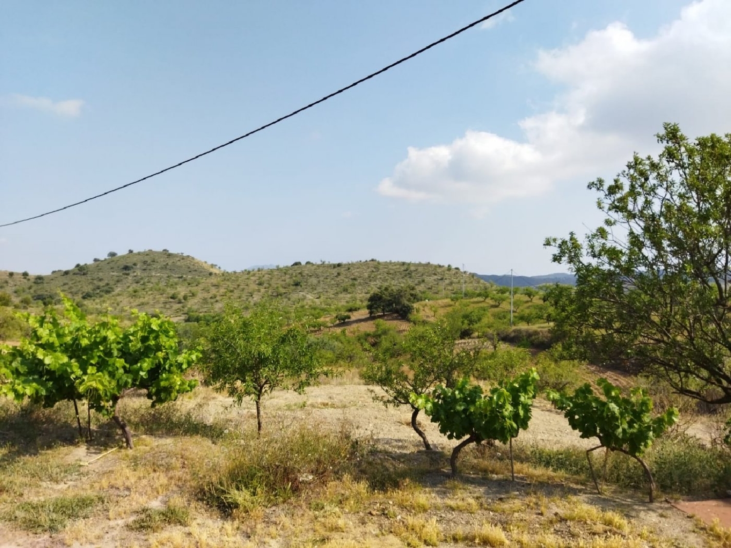  till salu hus Cabezo De La Jara Alto Guadalentín 7