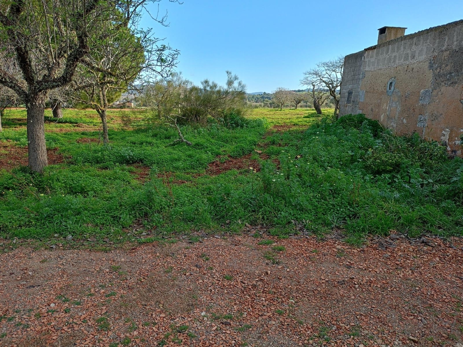  en venta casa Felanitx Sud 6